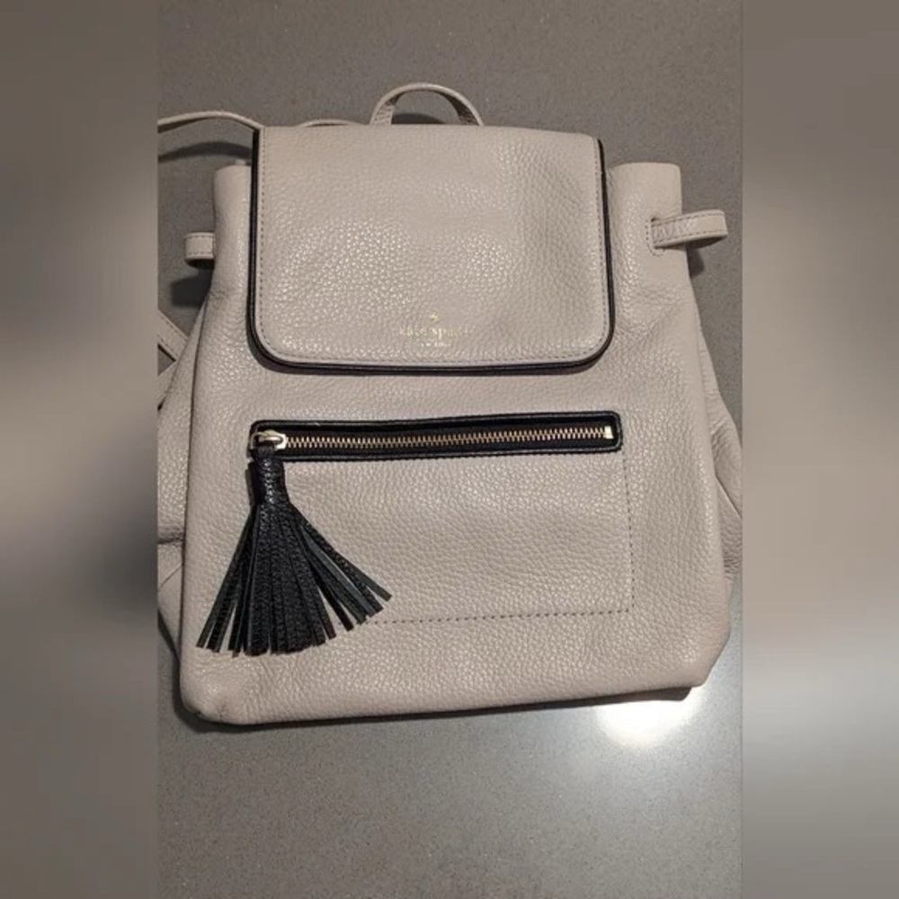 Kate Spade Euc Chester Backpack